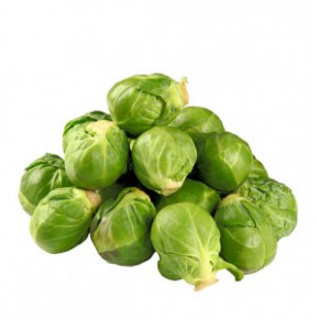 Dura Mater 3. Kitap - Serkan Karaismailoğlu - ELMA Yayınevi